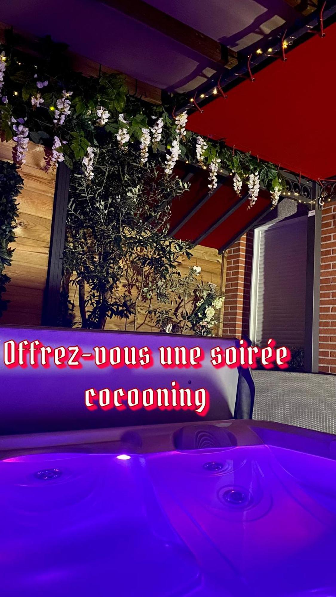 Un Petit Coin De Paradis Toulouse Eksteriør billede